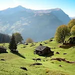 Apartment Grindelwaldgletscher By Interhome