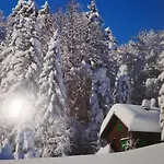 Grindelwaldgletscher By Interhome Apartment *