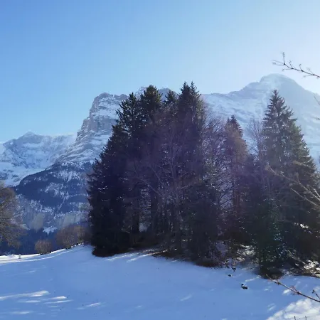 Grindelwaldgletscher By Interhome