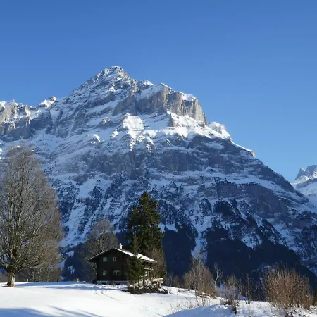 Apartamento Grindelwaldgletscher By Interhome *