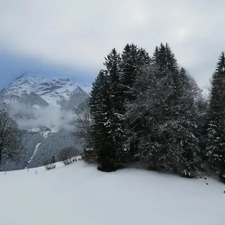 Apartamento Grindelwaldgletscher By Interhome *