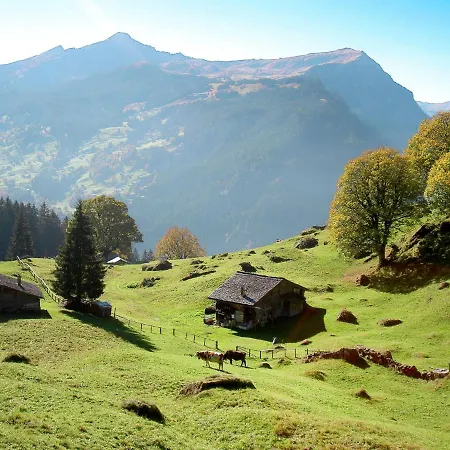 Apartment Grindelwaldgletscher By Interhome