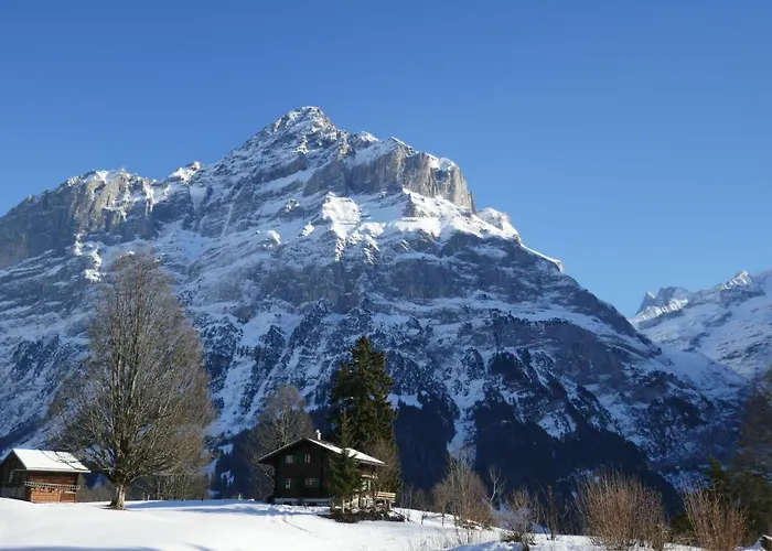 Διαμέρισμα Grindelwaldgletscher By Interhome *