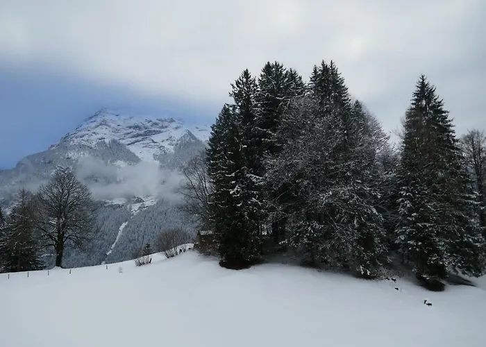 Διαμέρισμα Grindelwaldgletscher By Interhome *
