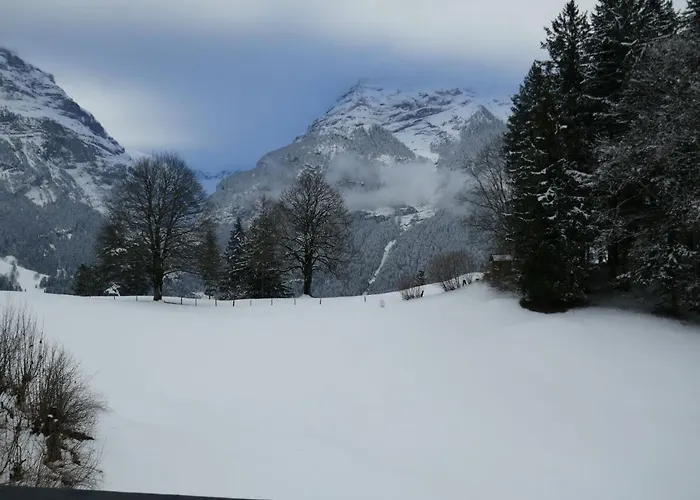 Grindelwaldgletscher By Interhome Διαμέρισμα