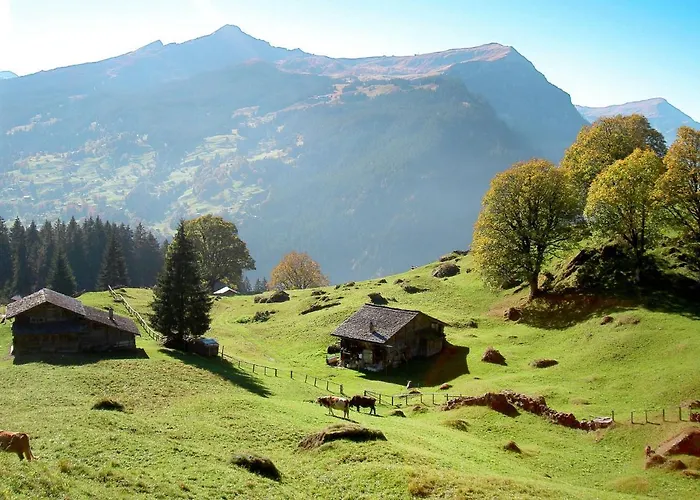 Διαμέρισμα Grindelwaldgletscher By Interhome