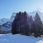 Grindelwaldgletscher By Interhome