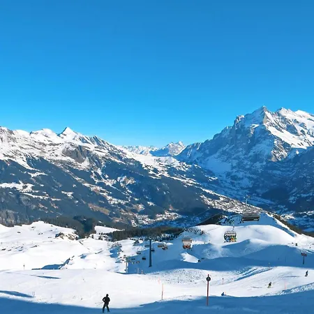 Daire Grindelwaldgletscher By Interhome